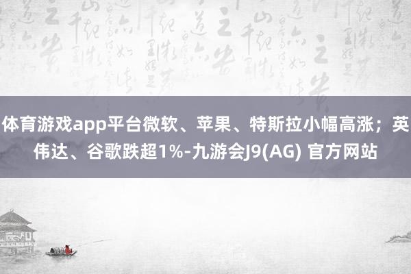 体育游戏app平台微软、苹果、特斯拉小幅高涨；英伟达、谷歌跌超1%-九游会J9(AG) 官方网站